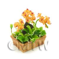 Dolls House Miniature Peach / Red Cattleya Orchid Display