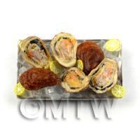 6 Dolls house Miniature Oysters With Ice on a Tray (FSHT27)