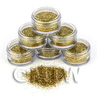 High Quality Nail Art Glitter - 2g Pot - Fools Gold