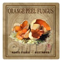 Dolls House Miniature Apothecary Orange Peel Fungi Colour Box Label