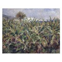 Pierre Auguste Renoir Painting Field Of Banana Trees