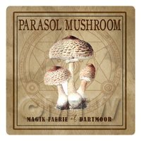 Dolls House Miniature Apothecary Parasol Mushroom Colour Label
