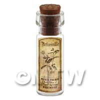 Dolls House Apothecary Periwinkle Herb Short Sepia Label And Bottle