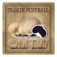 Dolls House Miniature Apothecary Pigskin Puffball Box Colour Label