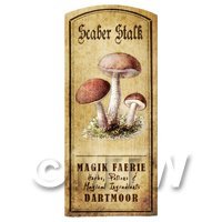 Dolls House Miniature Apothecary Scaber Stalk Fungi Colour Label
