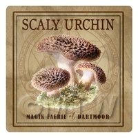 Dolls House Miniature Apothecary Scaly Urchin Fungi Colour Box Label