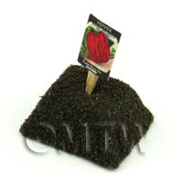 Dolls House Miniature Sweet Pepper Seed Packet With A Stick