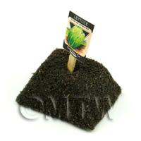 Dolls House Miniature Romaine Lettuce Seed Packet With A Stick