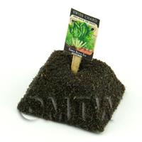 Dolls House Miniature Swiss Chard Seed Packet With A Stick