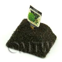 Dolls House Miniature Sweet Marjoram Seed Packet With A Stick