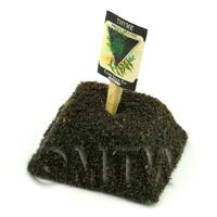 Dolls House Miniature Thyme Seed Packet With A Stick
