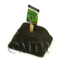 Dolls House Miniature Giant Radish Seed Packet With A Stick