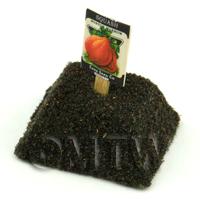 Dolls House Miniature Boston Squash Seed Packet With A Stick