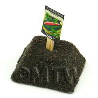 Dolls House Miniature Watermelon Seed Packet With A Stick
