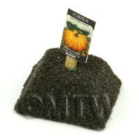 Dolls House Miniature Pumpkin Seed Packet With A Stick
