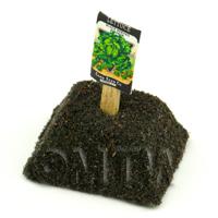 Dolls House Miniature Simpson Lettuce Seed Packet With A Stick