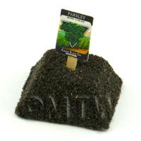 Dolls House Miniature Moss Curled Parsley Seed Packet With A Stick