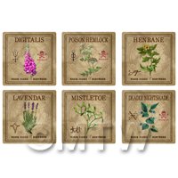 Dolls House Herbalist/Apothecary Square Herb Label Set 5