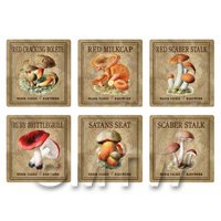 Dolls House Miniature Apothecary Fungi Square Colour Box Label Set 7