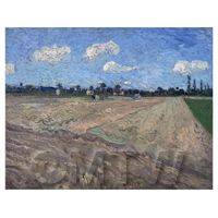 Van Gogh Painting Ploughed Field
