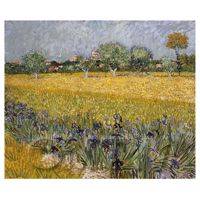 Van Gogh Painting View of Arles With Irises in Foreground