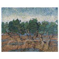 Van Gogh Painting Olive Orchard