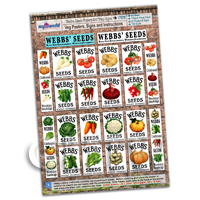 Dolls House Webbs Vegetable Posters Collection - A4 Value Sheet