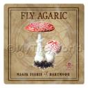 Album Photo fly-agaric.jpg