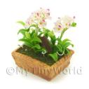 Album Photo mini-flower-bed-08.jpg